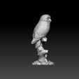 OWLL2.jpg Owl - Owl decorative