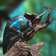 Furcifer-Pardalis-Base-Shoot_Szene7.png Panther chameleon- Furcifer pardalis NosyBe-with tongue-shot-STL-3D-print-file-with-full-size-texture-high-polygon