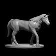 Draft_Horse.JPG Misc. Creatures for Tabletop Gaming Collection