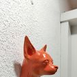 IMG-20250621-WA0034.jpg chihuahua dog head wall mount stl