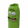 unnamed.jpg Pickle Rick Clipper Case