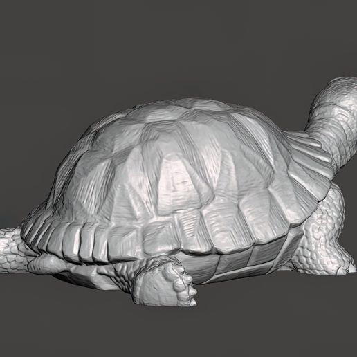 Turtle-Figurine-Pic-4.jpg Turtle Figurine