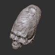 6.jpg Paracas elongated skull