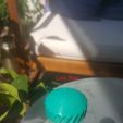 20180722_123521.jpg Free STL file Soda bottle watering cap・3D printable object to download