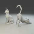 5.png Low polygon Siamese cat 3D print model  in two poses