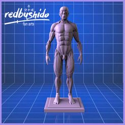 CLAY-1.jpg Файл STL Anatomically perfect Écorché .STL FILE・3D-печатный дизайн для загрузки, RedBushido