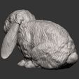 Rabbit8.jpg Rabbit American Fuzzy Fop 3D print model