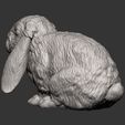 Rabbit8.jpg Kaninchen American Fuzzy Fop 3D-Druck Modell