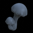 Terrain_Roundcap_Mushrooms_3.png 10 ROUNDCAP MUSHRROMS FOR ENVIRONMENT DIORAMA TABLETOP 1/35 1/24