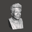 Maya-Angelou-9.png 3D Model of Maya Angelou - High-Quality STL File for 3D Printing (PERSONAL USE)