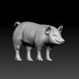 piggg1.jpg pig - realistic pig- pig toy- decorative Pig - decoration Pig