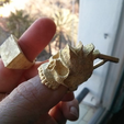 Capture d’écran 2018-04-05 à 15.29.17.png Dasaki punk skull ring