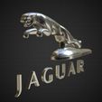 2.jpg jaguar hood ornament