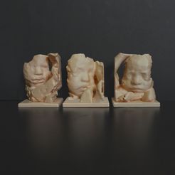 Bebes3Cults.jpg Real babies fetus