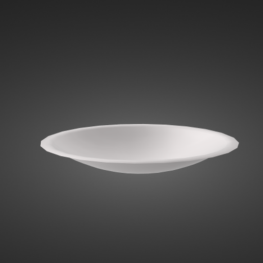 Plate 3D model