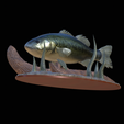 bass-na-podstavci-14.png bass 2.0 underwater statue detailed texture for 3d printing