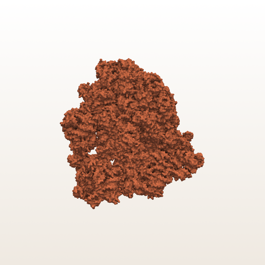 70S Ribosome (PDB 4YBB) - 3D Molecular Surface Model