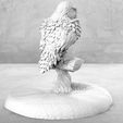Keyshot_Render.131.jpg Owl - Casual Pose - Tabletop Miniature