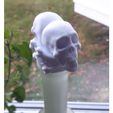 baf1127e6f611a216694f147fd124c7e_preview_featured.jpg Poison Skulls (corrected)