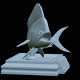 mahi-mahi-model-1-38.png fish mahi mahi / common dolphin trophy statue detailed texture for 3d printing