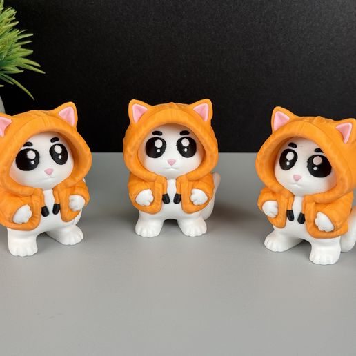 IMG_4985.jpg Gato con capucha