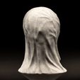EJB16260.jpg Draped Skull Bust (Pre Supported)
