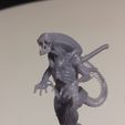 20230216_214929.jpg Alien Prowler