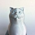 rapuzel_silver_2.jpg Schrodinky: British Shorthair Cat Sitting In A Box(single extrusion version)