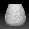BPR_Composite.jpg Ammonite vase (shell)