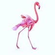 03.jpg DINOSAUR DINOSAUR 3d FLAMINGO DOWNLOAD FLAMINGO 3D MODEL ANIMATED - BLENDER - 3DS MAX - CINEMA 4D - FBX - MAYA - UNITY - UNREAL - OBJ -  FLAMINGO PINK DINOSAUR DINOSAUR FLAMINGO DINOSAUR BIRD