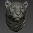 52.jpg Archivo OBJ Pantera cabeza de leopardo・Modelo de impresión 3D para descargar, guninnik81