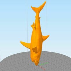 skyrim_shark1.JPG Fichier 3D gratuit Requin・Design pour imprimante 3D à télécharger