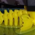 Flexi Print-in-Place Fish