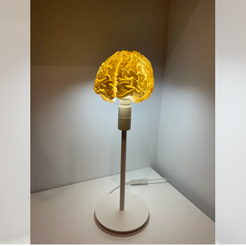 Schermafbeelding-2023-07-30-150324.png Free 3MF file RGB brain lamp・3D printing model to download