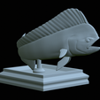 mahi-mahi-model-1-36.png fish mahi mahi / common dolphin trophy statue detailed texture for 3d printing