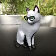 IMG_5742.jpg Realistische Raymond-Katze - Animal Crossing