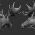 10.png Moose Head