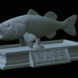 Bass-mount-statue-37.png fish Largemouth Bass / Micropterus salmoides open mouth statue detailed texture for 3d printing