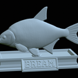 Bream-statue-31.png fish Common bream / Abramis brama statue detailed texture for 3d printing