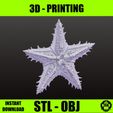 IMG_8929.jpeg SEA STAR 1 - Seestern digitale STL- und OBJ-Datei für den 3D-Druck von Meerestieren