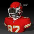 BPR_Composite10a.jpg NFL Football Helmet Stand