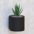 untitled.54-copy.png WALL MOUNTED PLANTER POT WITH DRIP TRAY - INTERSECTION  DESIGN