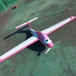 20220527_170946.jpg R/C CARTOON SCALE MINI SEGELFLUGZEUG FLÜGELSPANNWEITE 1.450MM