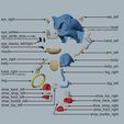 sonic-assembly1.jpg Free 3D file Sonic - Classic・3D printer model to download