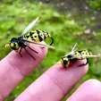 WaspFly.jpg Ultralight Wasp Lure