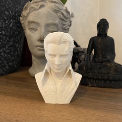 IMG_4314.jpg Elvis Presley bust/ statue 3D print