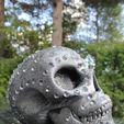 IMG_4826.JPG Skull with diamonds