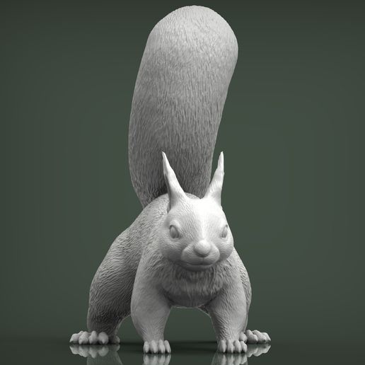 squirrel2.jpg Squirrel 3D print model