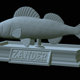 zander-statue-4-open-mouth-1-41.png fish zander / pikeperch / Sander lucioperca  open mouth statue detailed texture for 3d printing