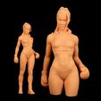 IMG_4241.jpg The Boxer Girl - Full Figure & Bust